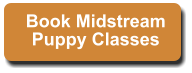 Book Midstream Puppy Classes