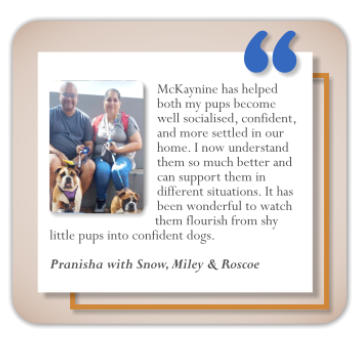 client testimonial midstream puppy classes pranisha