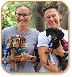 happy midstream client with graduate dachshund puppies