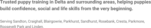 Trusted puppy training in Delta and surrounding areas, helping puppies build confidence, social and life skills from the very beginning.  Serving Sandton, Craighall, Blairgowrie, Parkhurst, Sandhurst, Rosebank, Cresta, Parkmore, Roosevelt Park and Linden.