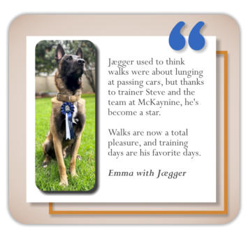 testimonial dog training client emma