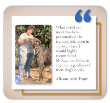 testomonial dog training client allison