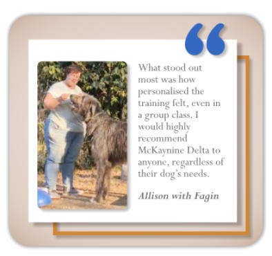 testomonial dog training client allison
