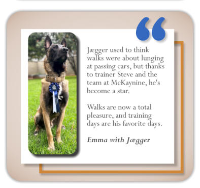 testimonial dog training client emma