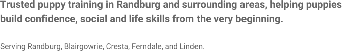 Trusted puppy training in Randburg and surrounding areas, helping puppies build confidence, social and life skills from the very beginning.  Serving Randburg, Blairgowrie, Cresta, Ferndale, and Linden.