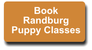 Book Randburg Puppy Classes