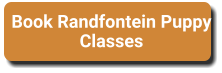 Book Randfontein Puppy Classes