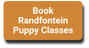 Book Randfontein Puppy Classes
