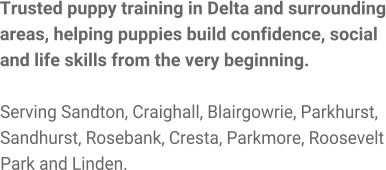 Trusted puppy training in Delta and surrounding areas, helping puppies build confidence, social and life skills from the very beginning.  Serving Sandton, Craighall, Blairgowrie, Parkhurst, Sandhurst, Rosebank, Cresta, Parkmore, Roosevelt Park and Linden.