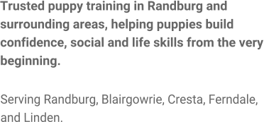 Trusted puppy training in Randburg and surrounding areas, helping puppies build confidence, social and life skills from the very beginning.  Serving Randburg, Blairgowrie, Cresta, Ferndale, and Linden.