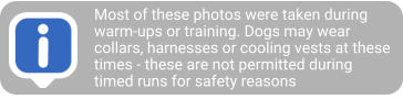 Most of these photos were taken during warm-ups or training. Dogs may wear collars, harnesses or cooling vests at these times - these are not permitted during timed runs for safety reasons