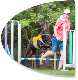 happy handler and dog running an agility practice course