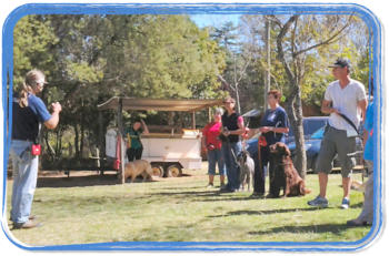 experienced working trials instructor teaching a group