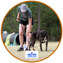 boxer dog and handler enjoying rally obedience