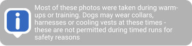 Most of these photos were taken during warm-ups or training. Dogs may wear collars, harnesses or cooling vests at these times - these are not permitted during timed runs for safety reasons