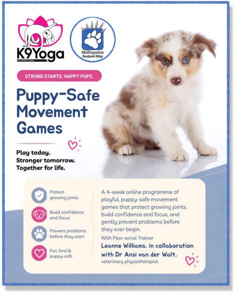 puppy yoga, canine yoga, k9yoga, puppy growth