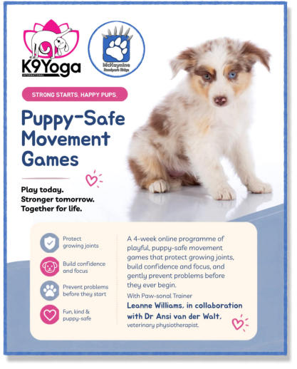 puppy yoga, canine yoga, k9yoga, puppy growth