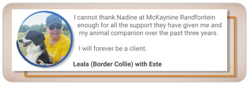 canine behaviour testimonial thanks border collie