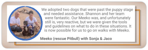 canine behaviour testimonial rescue pitbull