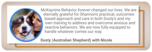 canine behaviour testimonial reactive australian shepherd