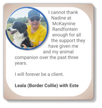 canine behaviour testimonial border collie