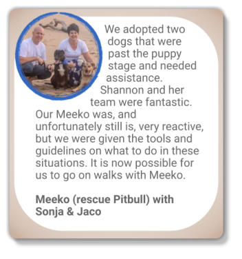 canine behaviour testimonial rescue pitbull