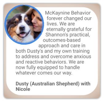 canine behaviour testimonial reactive australian shepherd