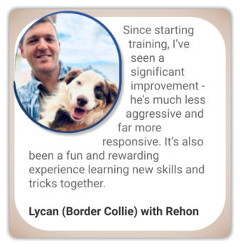 canine behaviour testimonial recative border collie