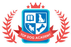 dog behaviour training professional courses