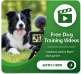 mckaynine dog training and behaviour free you tube videos
