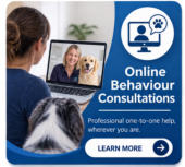 online canine behaviour consultations mckaynine
