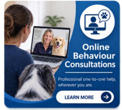 online canine behaviour consultation