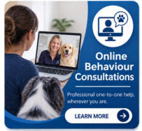 online canine behaviour consultations mckaynine