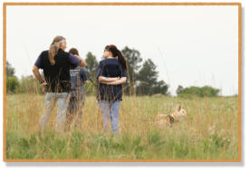 tracking instructor giving handlers feedback during dog track
