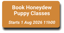 Book Honeydew Puppy Classes  Starts 1 Aug 2026 11h00