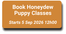 Book Honeydew Puppy Classes  Starts 5 Sep 2026 12h00
