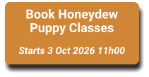 Book Honeydew Puppy Classes  Starts 3 Oct 2026 11h00