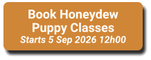 Book Honeydew Puppy Classes Starts 5 Sep 2026 12h00