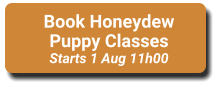Book Honeydew Puppy Classes Starts 1 Aug 11h00