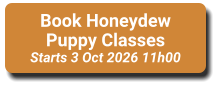 Book Honeydew Puppy Classes Starts 3 Oct 2026 11h00