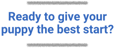 Ready to give your puppy the best start?