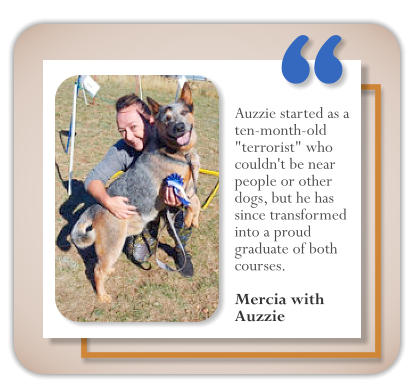 Auzzie started as a ten-month-old "terrorist" who couldn't be near people or other dogs, but he has since transformed into a proud graduate of both courses.   Mercia with Auzzie  �