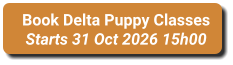 Book Delta Puppy Classes Starts 31 Oct 2026 15h00