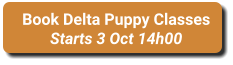 Book Delta Puppy Classes Starts 3 Oct 14h00