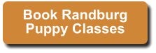 Book Randburg Puppy Classes