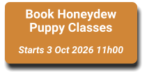 Book Honeydew Puppy Classes  Starts 3 Oct 2026 11h00