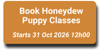 Book Honeydew Puppy Classes  Starts 31 Oct 2026 12h00