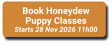 Book Honeydew Puppy Classes Starts 28 Nov 2026 11h00