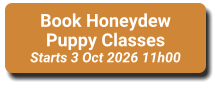 Book Honeydew Puppy Classes Starts 3 Oct 2026 11h00